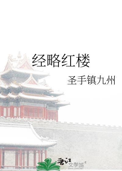 经略红楼全本阅读