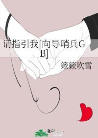 请指引我[向导哨兵GB