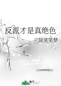 反派才是真绝色by己书TXT