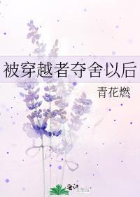 被穿越者夺舍以后 番外 百度