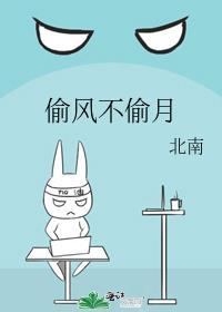 偷风不偷月未删减免费阅读