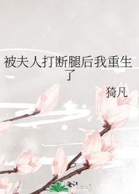 被夫人捅了一刀后她反撩了最新章节更新内容
