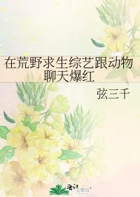 关于荒野求生的综艺