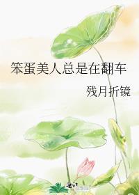 笨蛋美人翻车实录快穿