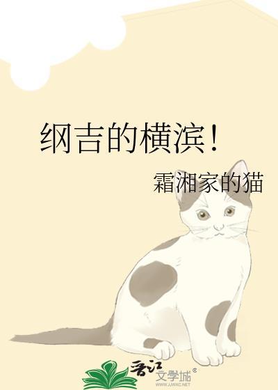 纲吉的横滨txt百度