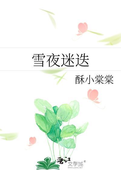 雪夜迷迭by全文免费阅读