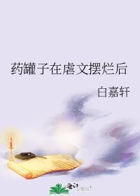 药罐子txt