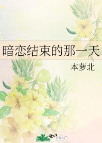 暗恋结束的那一天txt