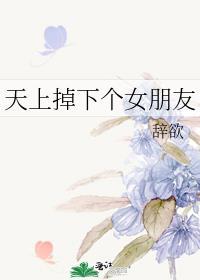 天上掉下个女朋友辞欲