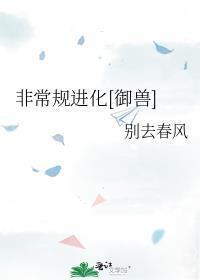 非常规通关无限格格党