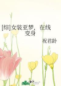 双生夫郎互换人生后格格党
