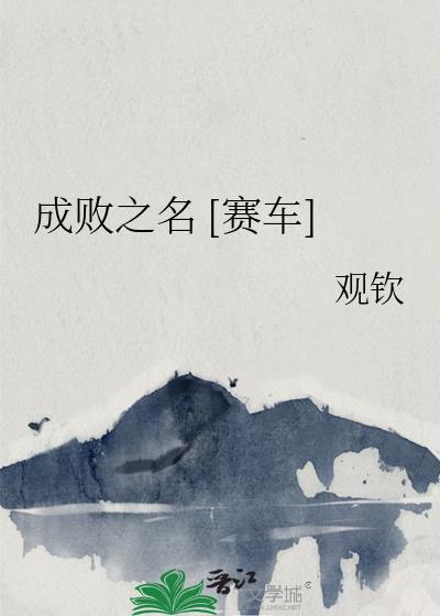 成败之名赛车by观钦