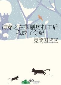 穿越到清朝成御前宫女的