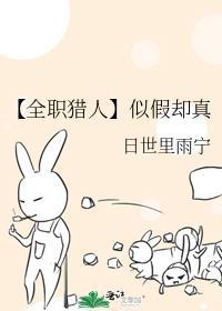 全职猎人梗