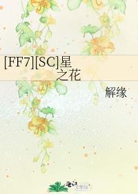 ff7星之神秘书