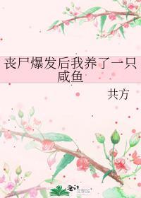 只有我一只大橘不会修仙剧透