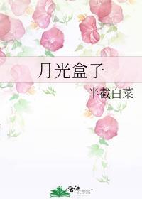 月光盒子半截白菜TXT