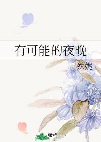 有可能的夜晚在线阅读