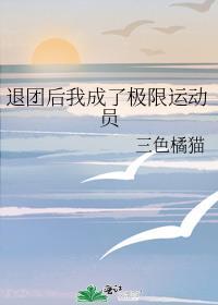 退团后我成为一线