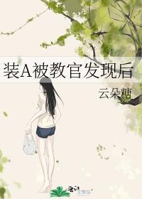 装a后我被教做o了笔趣阁