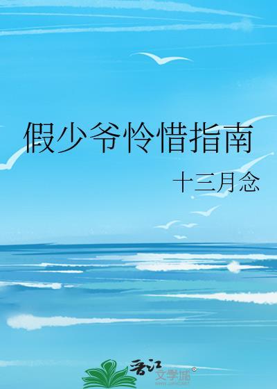 假少爷怜惜指南 (作者十三月念)