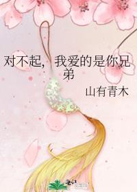 对不起我最爱