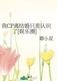 我的cp离结婚就差认识了TXT