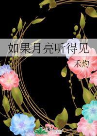 如果月亮没有眼睛歌曲