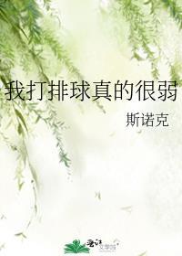 我打排球真的很弱作者斯诺克