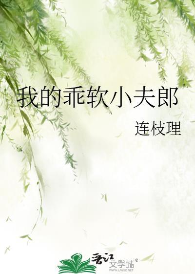 我的乖软小夫郎免费阅读