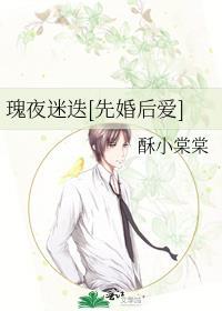 夜玫瑰晋江
