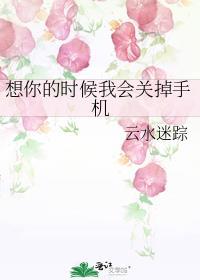想你的时候我会关掉手机(云水迷踪)