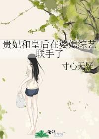 皇后和贵妃私奔了