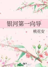 或有情讲的什么