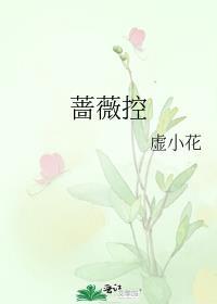 蔷薇控股的幕后老板是谁