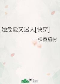 裙钗之下石阿措笔趣阁