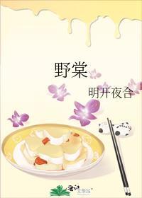 野棠短剧全集