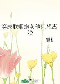 穿成炮灰白莲花结局