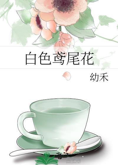 白色鸢尾花代表什么