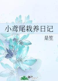 撒嘴别叼着狗九流书生笔趣阁txt