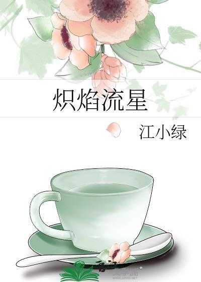 炽焰流星讲的什么