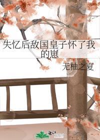 皇子失忆后她成为了玩物