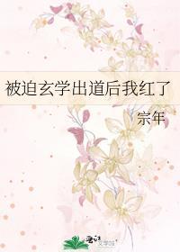 被迫玄学出道后我红了讲的什么
