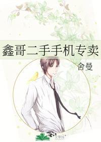 鑫哥二手手机专卖全文免费阅读