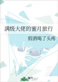 满级大佬的蜜月旅行原名