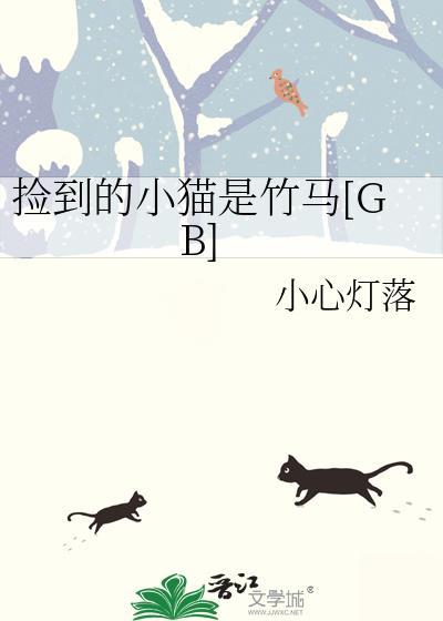 捡到小猫怎么办