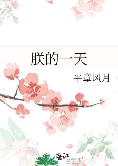 朕的一天姜母鸭翅