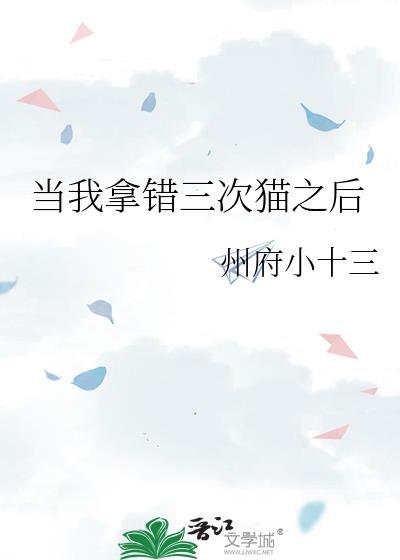 当我拿错三次猫之后 讲的什么故事