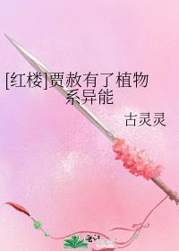 红楼贾赦有系统