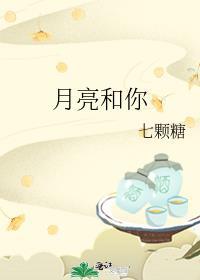 月亮和你看你看月亮的脸谁是翻唱